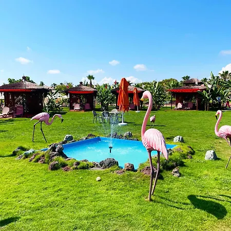 Vonresort Golden Coast & Aqua リゾート 5*
